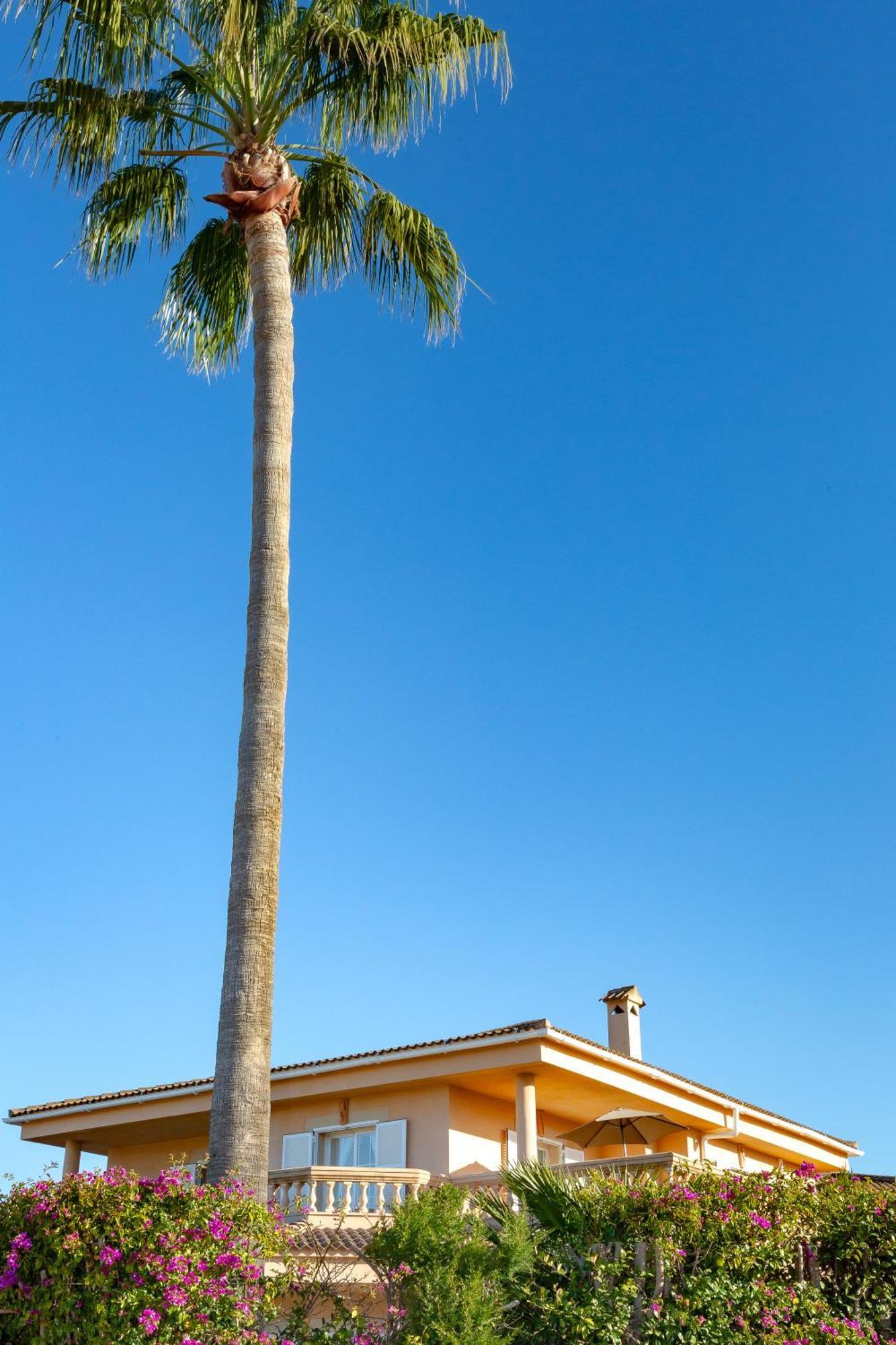 Villa Palmera Palma Exterior foto