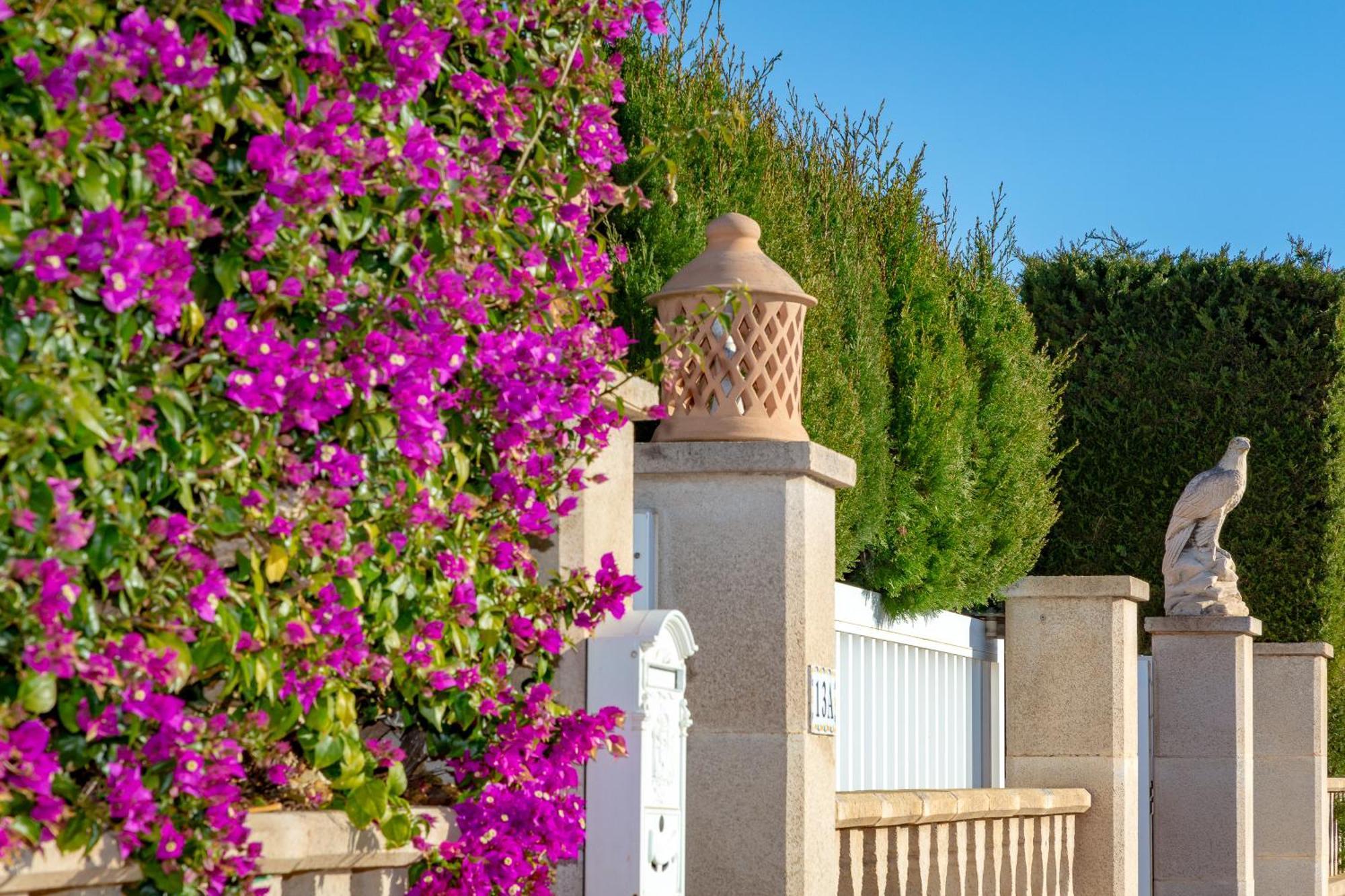Villa Palmera Palma Exterior foto